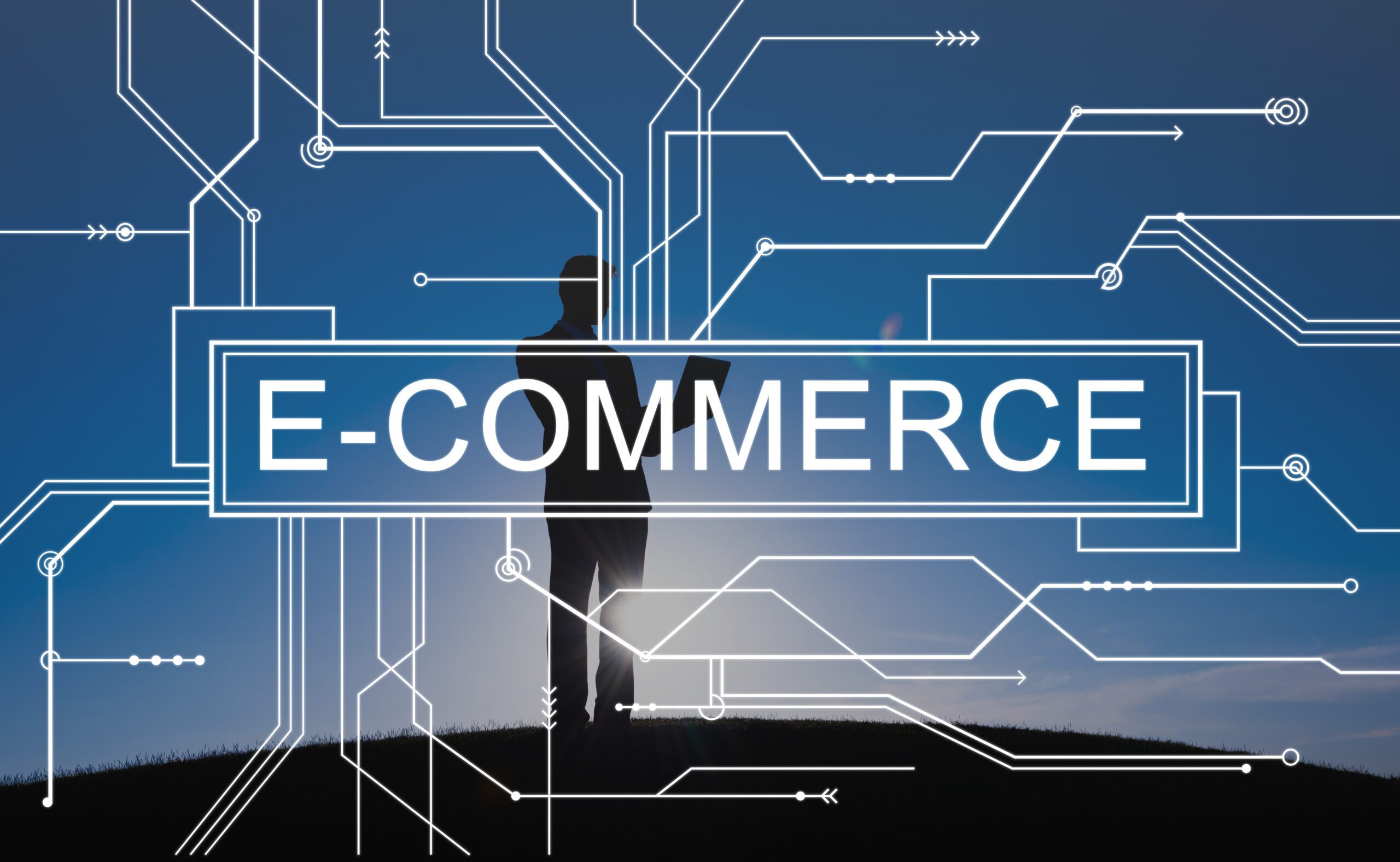 The Evolution and ​Future of ​E-commerce: From Conception ​to Global ​Dominance